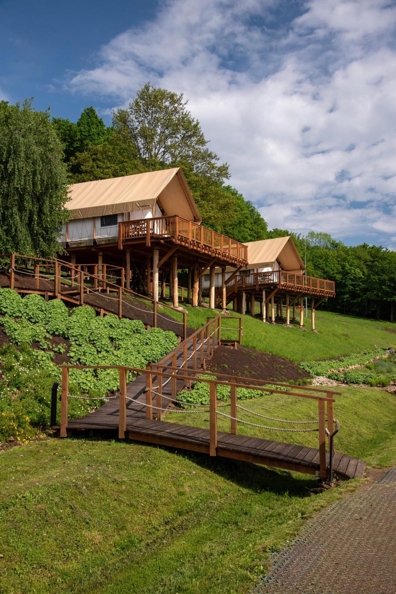 Luxury tent Forrest Glamping *