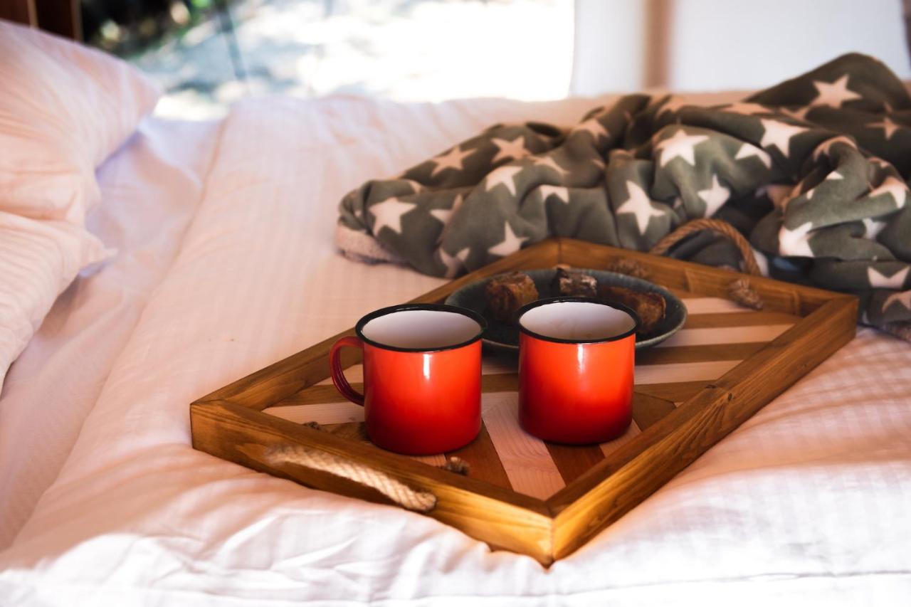 Forrest Glamping *